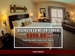 barrokas-mejor-tarifa-oferta